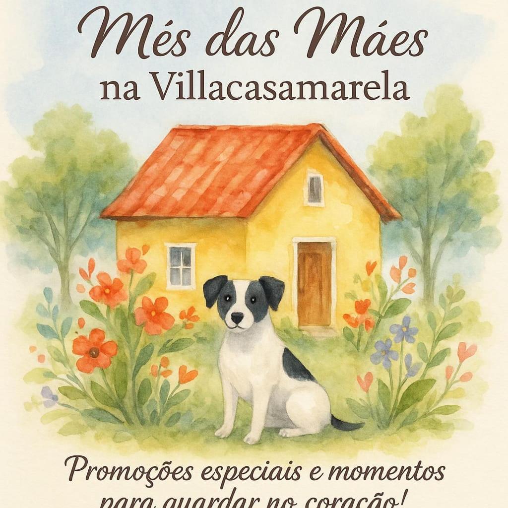 Villacasamarela Mini Casinhas De Hospedes Rio Vermelho Florianópolis 外观 照片